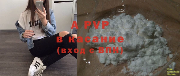 стаф Вяземский