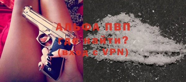 стаф Вяземский