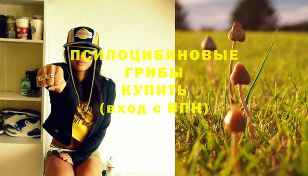 синтетический гашиш Горнозаводск
