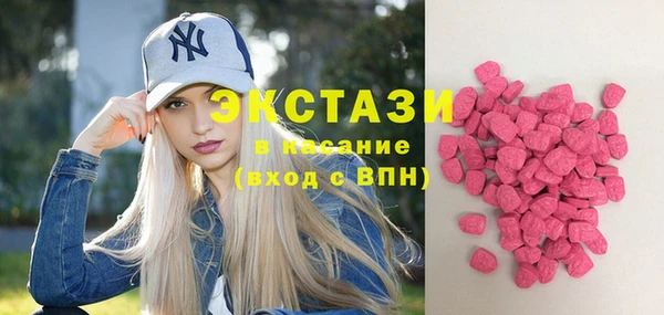 стаф Вяземский