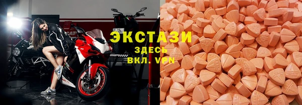 стаф Вяземский