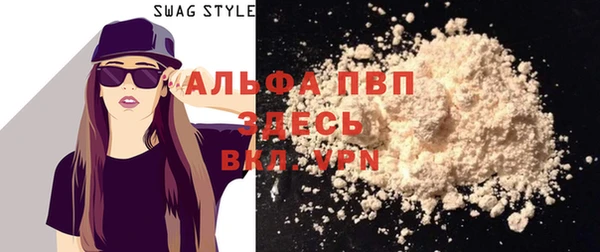 стаф Вяземский