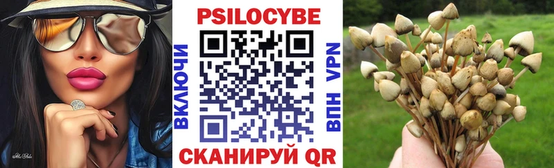 ОМГ ОМГ ссылка  Дагестанские Огни  Псилоцибиновые грибы мицелий 